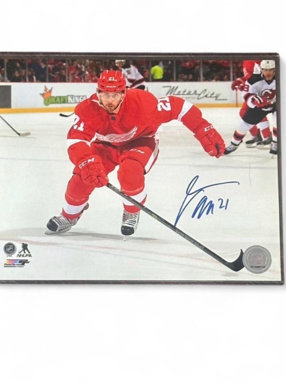 Signed Tomas Tatar Photo